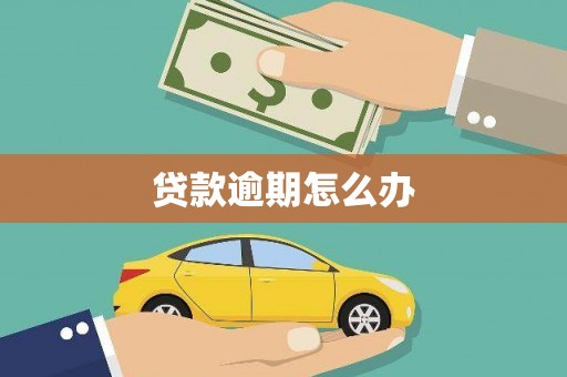 麻栗坡贷款逾期怎么办