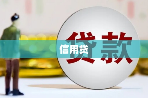麻栗坡信用贷