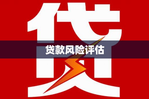 麻栗坡贷款风险评估