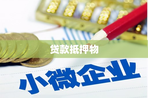 麻栗坡贷款抵押物