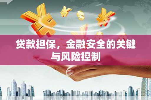 麻栗坡贷款担保，金融安全的关键与风险控制