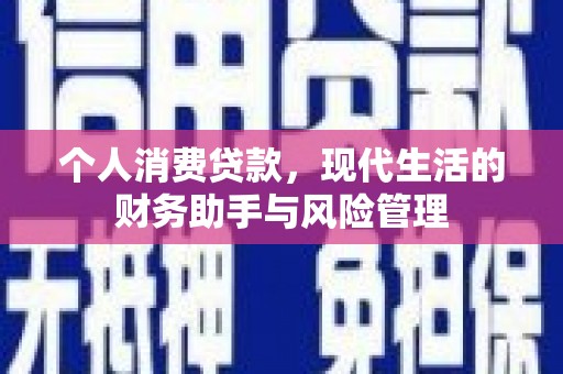 麻栗坡个人消费贷款，现代生活的财务助手与风险管理