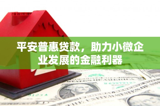 麻栗坡平安普惠贷款，助力小微企业发展的金融利器