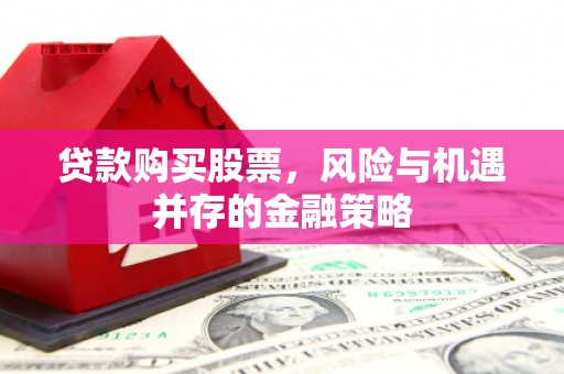 麻栗坡贷款购买股票，风险与机遇并存的金融策略